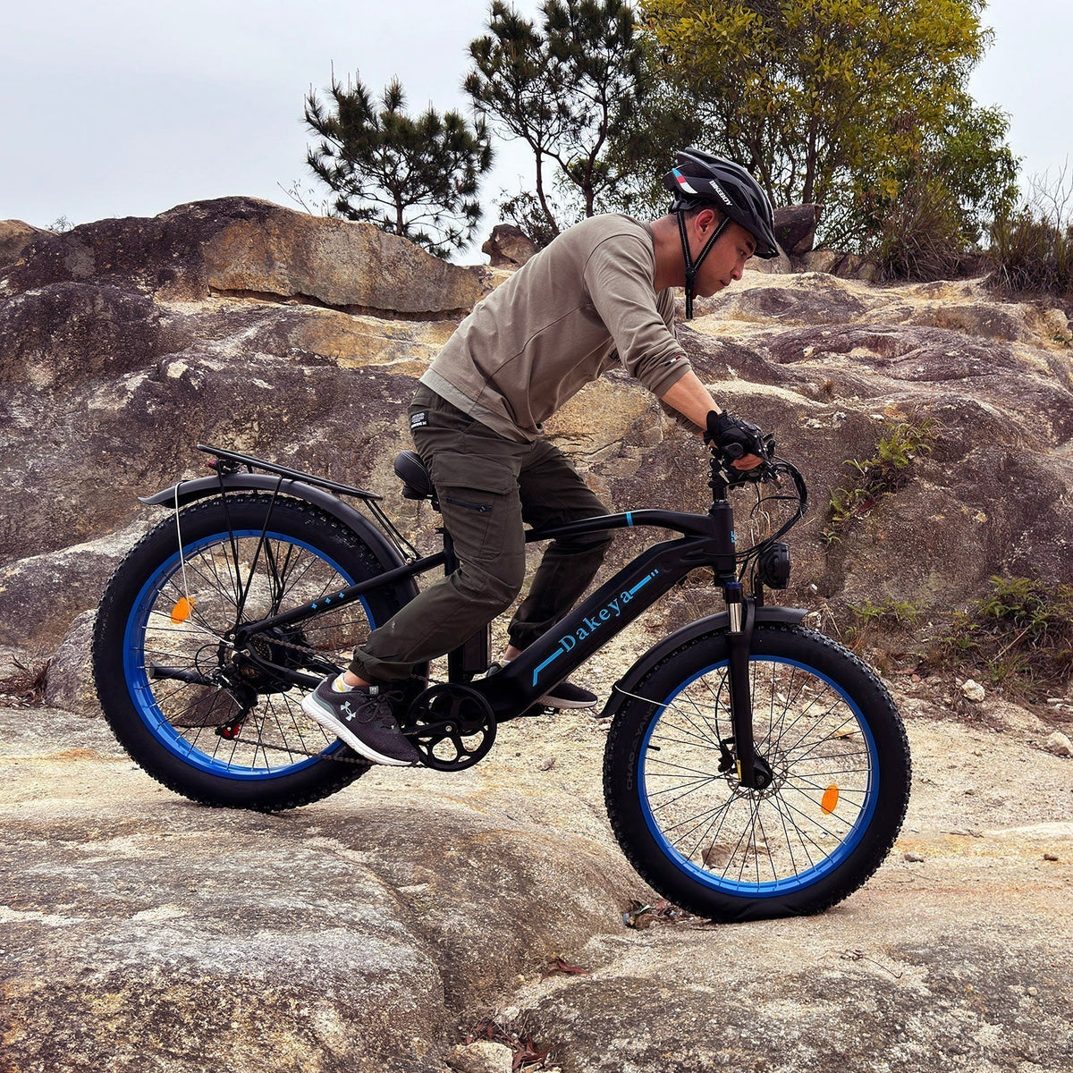 Comparing 1000W Electric Bike Fat Tire: Features and Performance - Dakeyabike