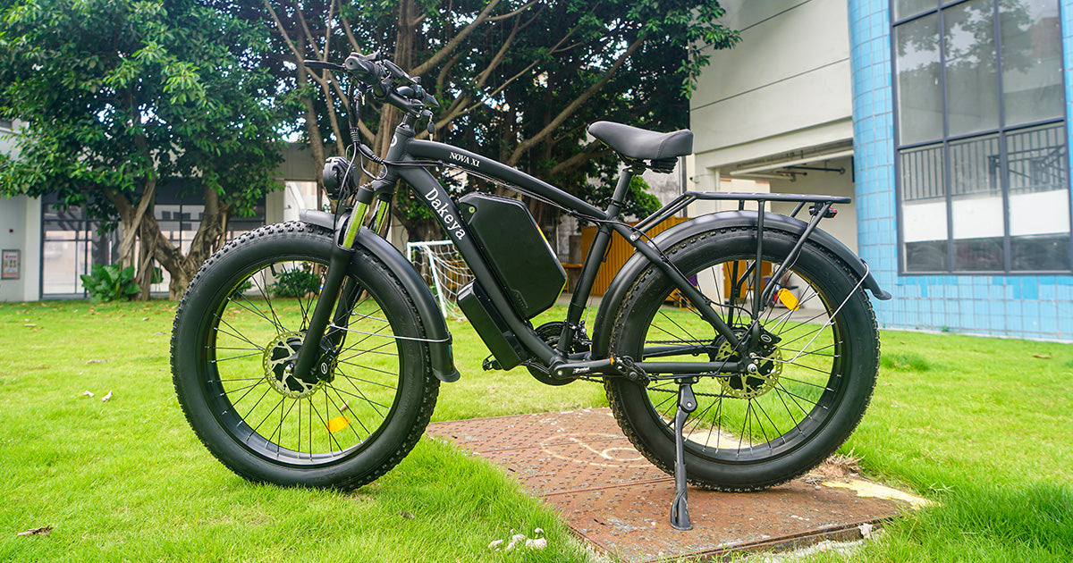 Electric mountain bike