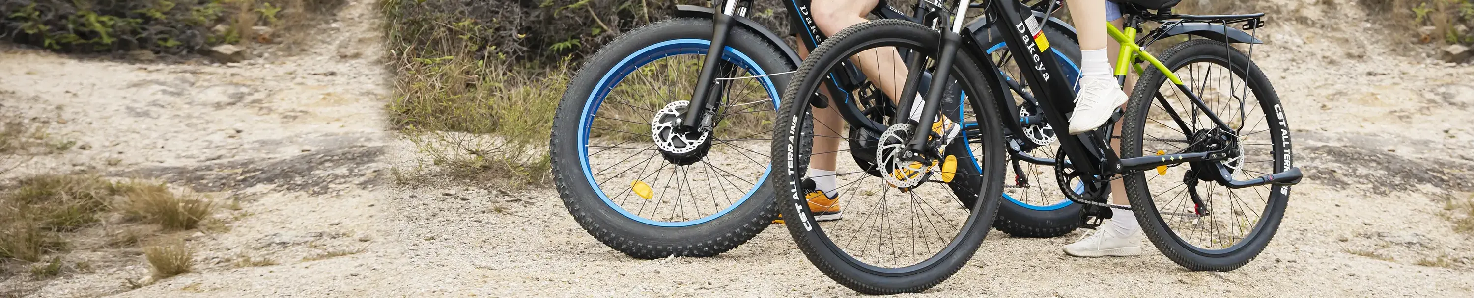 Dakeya Electric Bikes