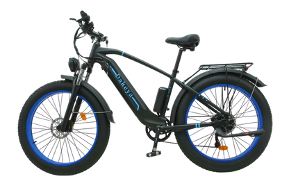 Dakeya V-07