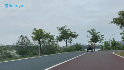 Dakeya Da03 Dual Motor Electric Mountain Bike 5000W - Full Suspension, UL2849 Certified Off-Road Fat Tire